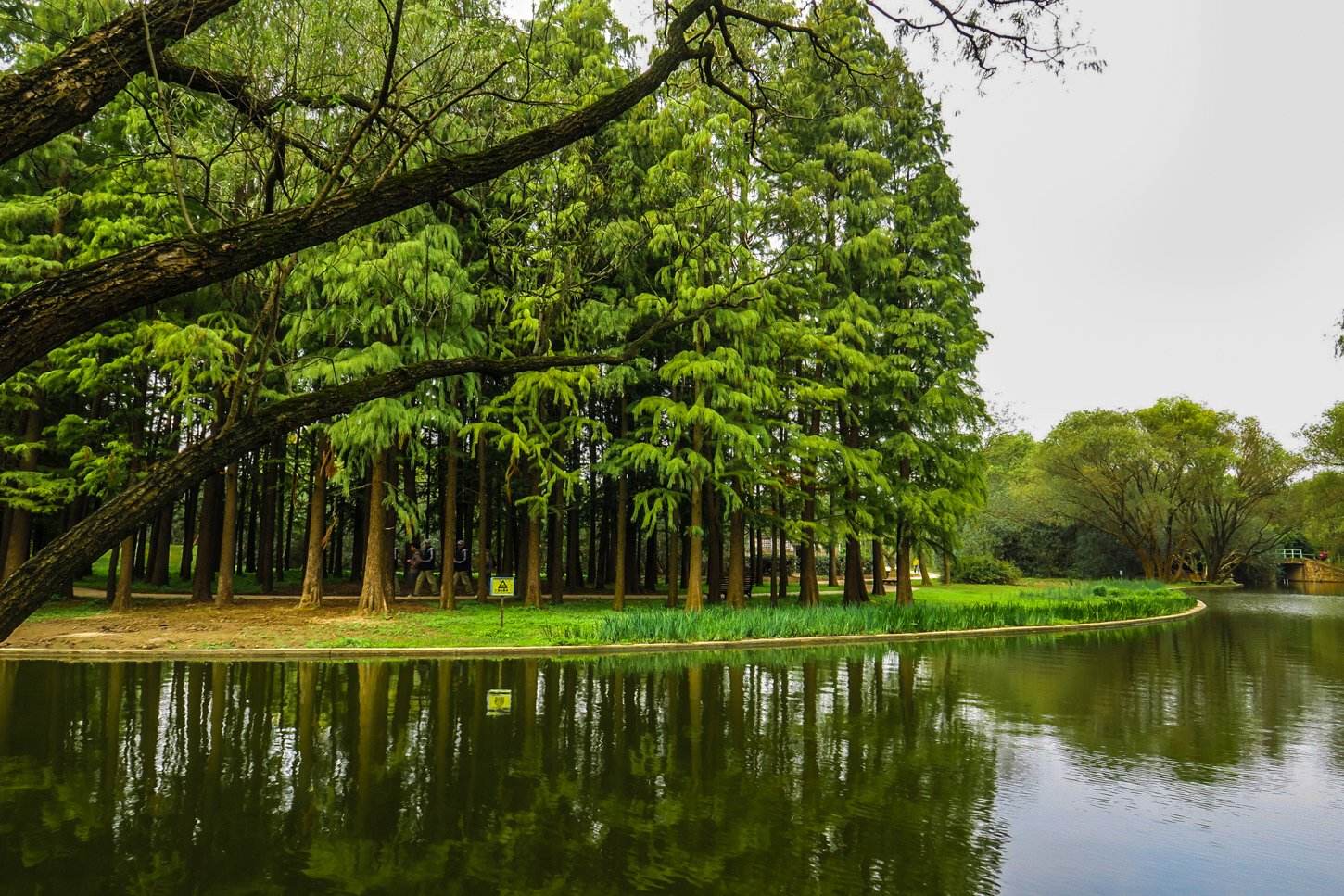上海共青森林公园拓展训练基地