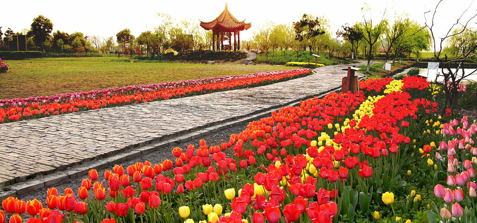 嘉兴碧云花园拓展训练基地