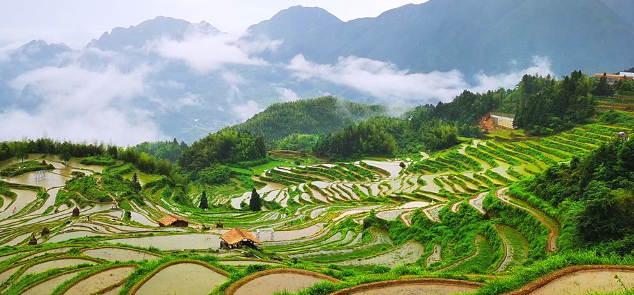 【丽水】山耕深处的浙南秘境，走近国家级摄影基地，领略一幅天然画卷。