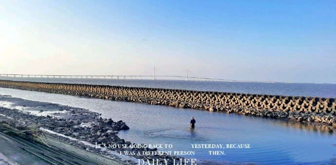 【上海】长兴岛×团建采摘