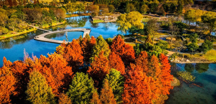 【上海】辰山植物园团建×佘山定向徒步