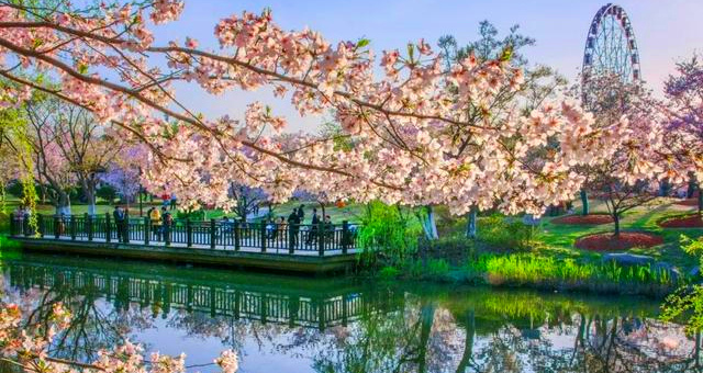 【上海】顾村公园×棒球主题团建